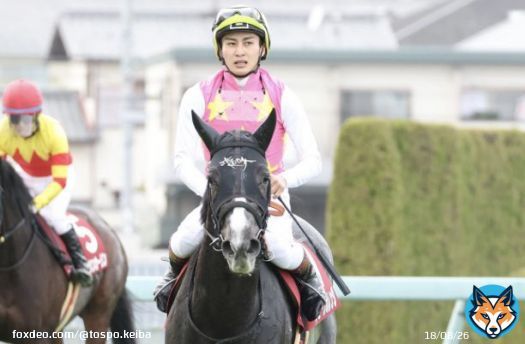 【#フィリーズレビュー】#ジューンオレンジ が上がり最速を駆使して権利を獲得　富田「今日の走りを褒めてあげたいです」  #東スポ競馬 #競馬