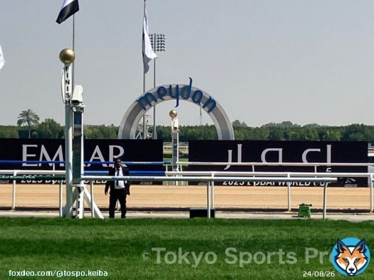 ドバイの現地記者からメイダン競馬場のゴール前＆芝直前の写真が送られてきました  胸が高鳴ります&hellip;  #ドバイWC  #ドバイワールドカップデー #ドバイターフ #ドバイゴールデンシャヒーン #ドバイシーマC #ドバイワールドカップ #メイダン競馬場 #東スポ競馬 #競馬