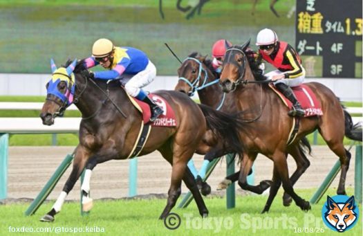 【#阪神牝馬ステークス 結果＆コメント】#サウンドビバーチェ 重賞初Ｖ　浜中「次のＧⅠでもいい走りをしてくれると思う」   #東スポ競馬 #競馬