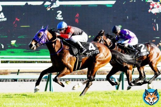 【 #黒松賞 】「 #サクラバクシンオー に似ていますね」　清水英調教師は #ブーケファロス の差し切りＶに笑顔   #東スポ競馬 #競馬 #POG