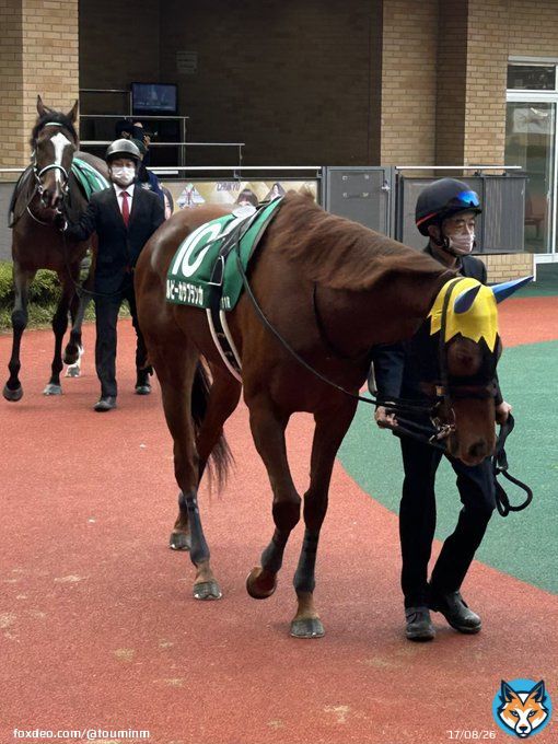 ルビーカサブランカちゃんと今浪厩務員と主張が強めのルージュエヴァイユちゃん(みんなかわいい)