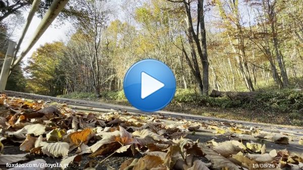 まばたき禁止  秋深まる日本。  とある山の中の静寂を破る #WRC 2022シーズンチャンピオンカー「#GRヤリス Rally1 HYBRID」  全開からの〜ジャンプ  はっっっや。  #ラリージャパン #RallyJapan #WRCjp
