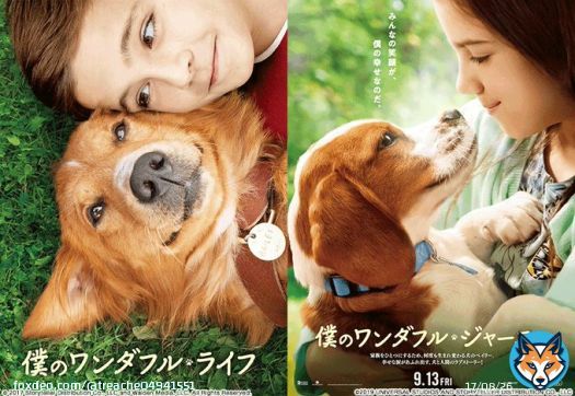 僕のワンダフル･ジャーニーの前作､僕のワンダフル･ライフも感動するんだよなぁ〜  #金曜ロードショー #僕のワンダフルジャーニー