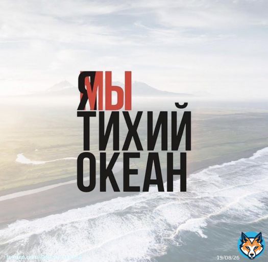 На Камчатке прямо сейчас гибнут тысячи морских обитателей, весь берег в трупах животных. Тихий океан сильно загрязнён ядовитыми веществами, вода серо-жёлтого цвета, творится самый настоящий ужас. Снова планета страдает от рук &laquo;людей&raquo; #ямытихийокеан #камчатка