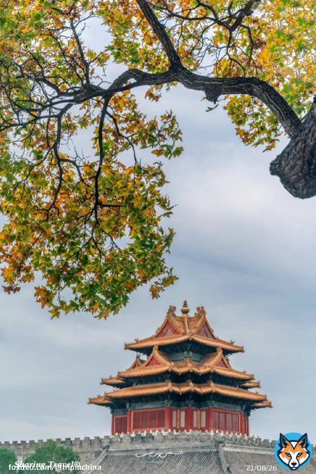 Autumn in the Forbidden City in Beijing.