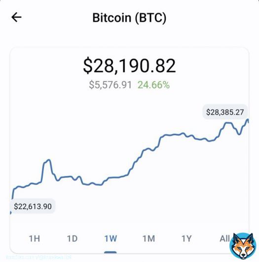 $28,000 for one orange internet coin   #bitcoin