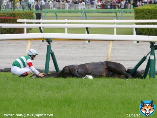騎手がレースの勝利の為だけに馬を叩くとか言うてる人いるけど、ルメールさんは馬の事第1にレースも捨て出来だけ負担の無いように停止、倒れた後も&hellip;&hellip; ギャンブルの道具扱いとか攻撃は間違ってるよ。  #日本ダービー   #スキルヴィング
