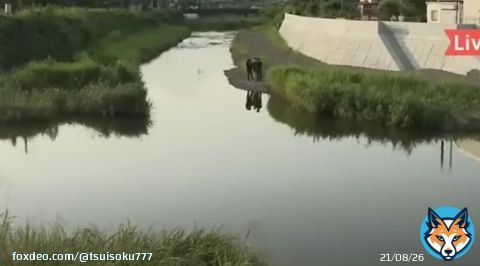 夏休み初日に水難事故・・・　11歳の女児3人が溺れ死亡　福岡県宮若市の犬鳴川（動画あり）