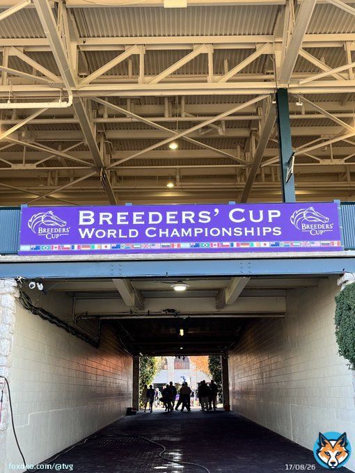 Breeders&rsquo; Cup 2022 #LetsGo