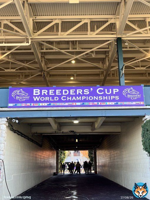 Breeders&rsquo; Cup 2022 #LetsGo
