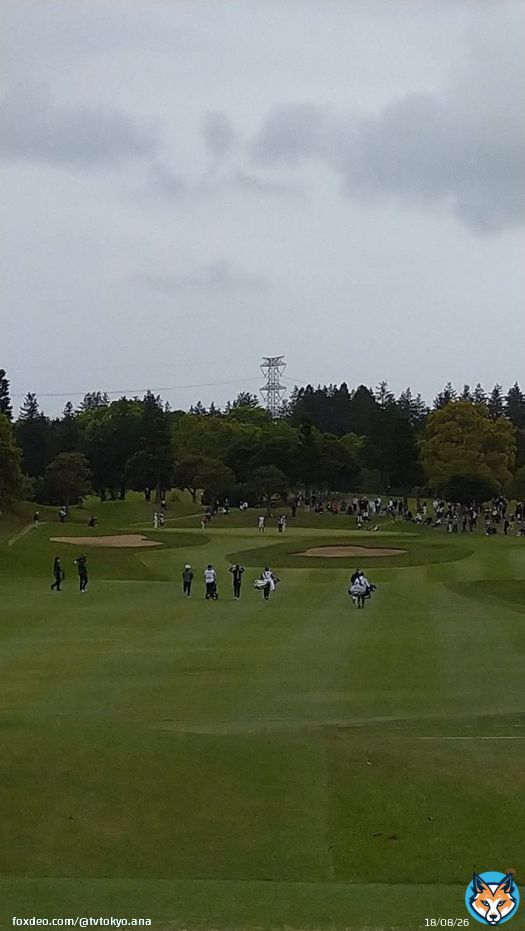 女子ゴルフツアー、パナソニックオープンレディース最終日！！ 強風の中、優勝争いが白熱しています！ 久々優勝を目指すテレサ・ルー選手か？西郷真央選手の今季４勝目か？高橋彩華選手の連勝か？ このあと４時からです！