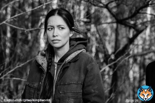 MASSIVE round of applause for Christian Serratos for her portrayal of Rosita Espinosa from S4E10 to S11E24 of #TheWalkingDead! #TWDFamily