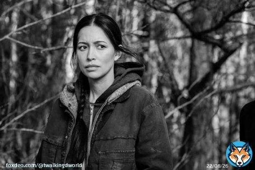 MASSIVE round of applause for Christian Serratos for her portrayal of Rosita Espinosa from S4E10 to S11E24 of #TheWalkingDead! #TWDFamily