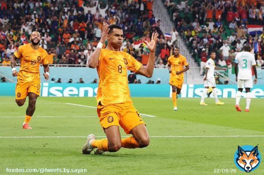 Cody Gapko is a  boy  We move to R16   #NEDQAT
