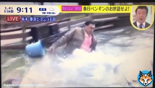 那須どうぶつ王国が日テレ「スッキリ」に厳重抗議、オードリー春日がペンギンのいる池に落下