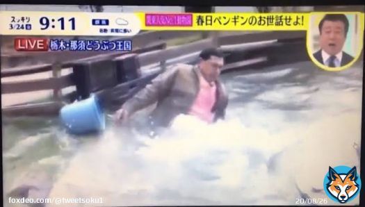 那須どうぶつ王国が日テレ「スッキリ」に厳重抗議、オードリー春日がペンギンのいる池に落下