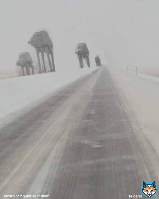 Meanwhile, in Ontario #Onstorm #WinterStorm #ontariostorm