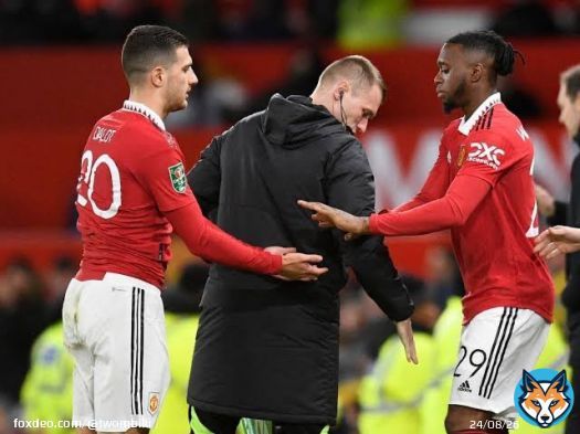 Appreciation Tweet For Wan Bissaka. #EuropaLeague