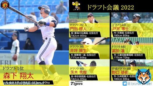 【阪神】 ドラフト会議2022  指名選手一覧  高卒4人、高卒3年目社卒1人、大卒2人と前情報通り素材型中心の指名に！  浅野巨人に強奪()されたの悔しいけど、ドラ1森下君も素材抜群の選手で強肩強打の右の大砲として期待したい！  皆さん、ようこそ阪神タイガースへ！ #hanshin #ドラフト会議2022