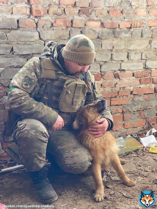 This fighter died&hellip;  #Ukraine #UkraineRussiaWar #UkraineWar #Leopard #CatsOfTwitter #CatsOnTwitter #RussiaisATerroistState #UkraineWarNews #UAarmy #ukrainecounteroffensive #Zelensky #UkraineRussiaWar️