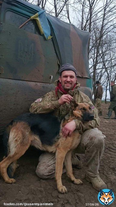 Friend   #Ukraine #UkraineRussiaWar #UkraineWar #Leopard #CatsOfTwitter #CatsOnTwitter #RussiaisATerroistState #UkraineWarNews #UAarmy #ukrainecounteroffensive #Zelensky #UkraineRussiaWar️