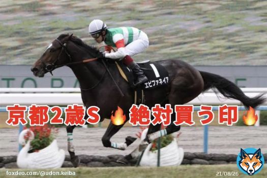 . 京都2歳S 絶対買う印  ・全頭解説あり  前走はめちゃくちゃな切れ味を見せた1頭。当然グランヴィノスでもエゾダイモンでもありません！   #BOOKERS