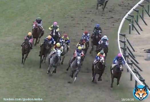 \u25a0日経新春杯  1着ヴェルトライゼンデ(斤量59kg) 内で溜めてロス無く直線は馬場の良いところ。直線逆手前。  3着プラダリア(斤量56kg) コーナー通過5-5-8-10。 先行\u25b6\ufe0f︎向正面位置下げ\u25b6\ufe0f︎コーナー外6のロス有り。直線逆手前。  斤量と距離ロスを相殺して2頭が強いという回顧になりました