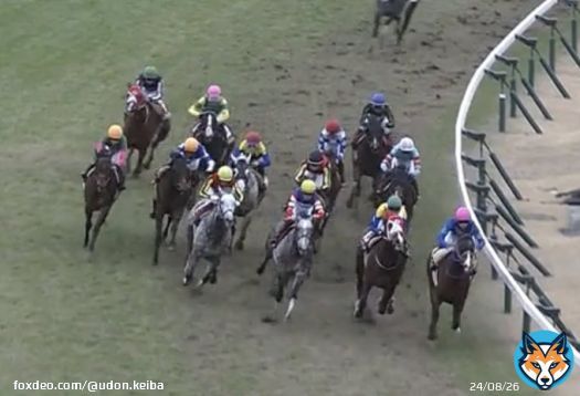 \u25a0日経新春杯  1着ヴェルトライゼンデ(斤量59kg) 内で溜めてロス無く直線は馬場の良いところ。直線逆手前。  3着プラダリア(斤量56kg) コーナー通過5-5-8-10。 先行\u25b6\ufe0f︎向正面位置下げ\u25b6\ufe0f︎コーナー外6のロス有り。直線逆手前。  斤量と距離ロスを相殺して2頭が強いという回顧になりました