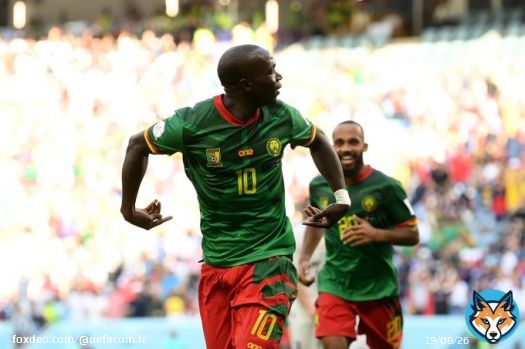 Des Lions IN-DOMPT-ABLES   #CMRSRB | #CMR | #Cameroun