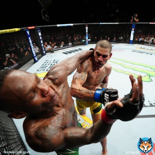 NOTHING LIKE THIS SPORT  #UFC281