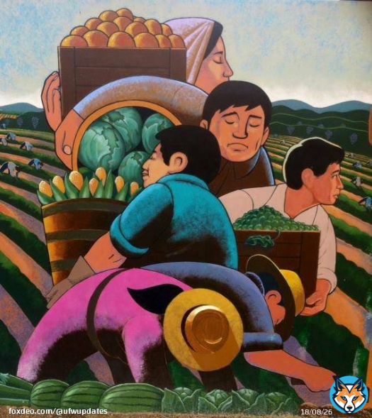 Let's give a shout out to the people who labor in the fields to put food on our tables.   Mandemosle un saludo a la gente que trabajan en el campo para poner comida en nuestras mesas.  #WeFeedYou #AB2183 #LaborDay   Thank you @ignacioGomezart for lettting us use this art