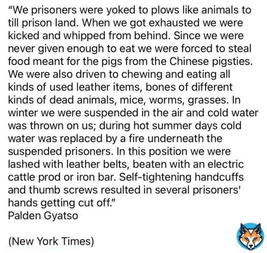 Even after being yoked to till prison land like animals, even after being rammed electric rod in his mouth, he still shouted for Tibet&rsquo;s independence. P. Gyatso&rsquo;s sacrifice will never be wasted. He&others like him are the reason why CCP are not able to break the Tibetan spirit.
