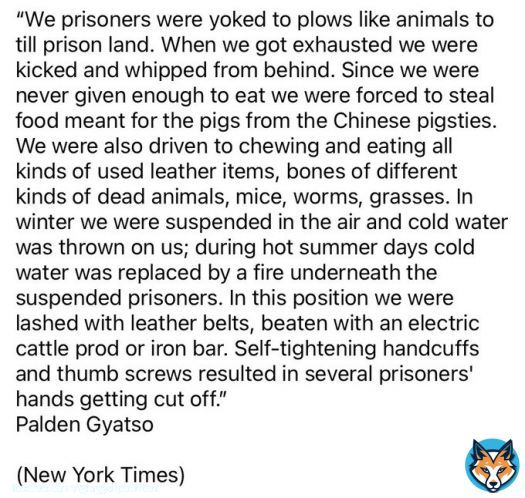 Even after being yoked to till prison land like animals, even after being rammed electric rod in his mouth, he still shouted for Tibet&rsquo;s independence. P. Gyatso&rsquo;s sacrifice will never be wasted. He&others like him are the reason why CCP are not able to break the Tibetan spirit.