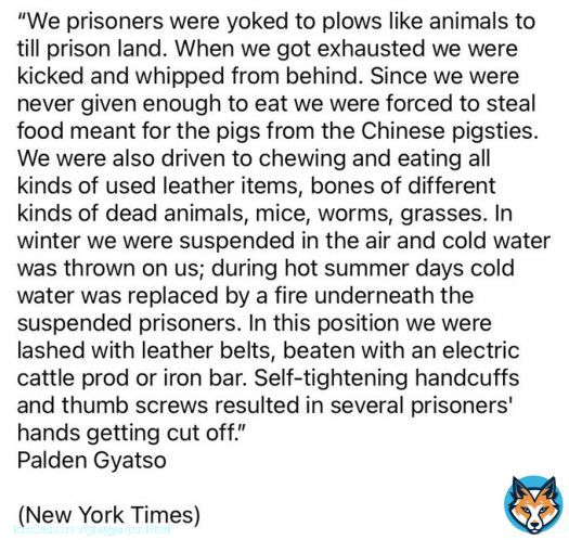 Even after being yoked to till prison land like animals, even after being rammed electric rod in his mouth, he still shouted for Tibet&rsquo;s independence. P. Gyatso&rsquo;s sacrifice will never be wasted. He&others like him are the reason why CCP are not able to break the Tibetan spirit.