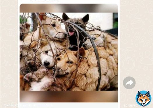 It will be a shameful act. Please stop this Respected Prime Minister Shri @narendramodi Ji. #SayNoToLivestockBill2023