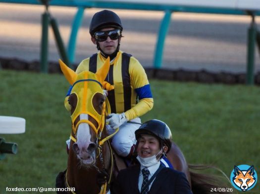 ボルドグフーシュ 福永祐一騎手 ファンの声援に深々とお辞儀されてたのがすごく印象深かった。最後の有馬記念お疲れ様でした