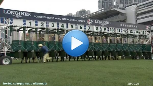 #香港カップ(GI) レース結果 着順 配当