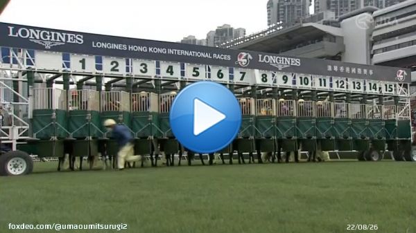 #香港カップ(GI) レース結果 着順 配当