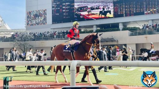 #大阪杯 #ジャックドール に初めて会えて、 鼻と喉のところが熱くなった ドキドキする&hellip;