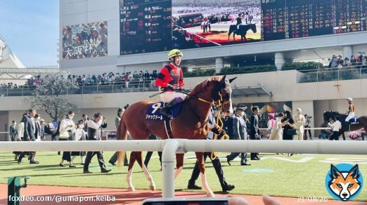 #大阪杯 #ジャックドール に初めて会えて、 鼻と喉のところが熱くなった ドキドキする&hellip;