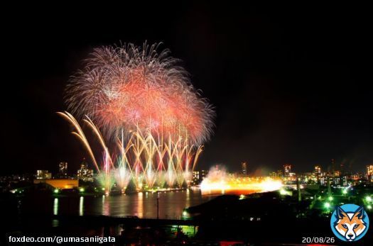 【新潟まつり花火ショー／新潟市】11/3  延期になっていた「新潟まつり」の花火ショーを開催します！  今年は信濃川を舞台に合計3か所から上がり、音楽と花火が華やかに共演します  当日は交通規制がありますのでご注意ください    #新潟