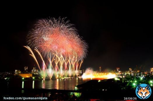 【新潟まつり花火ショー／新潟市】11/3  延期になっていた「新潟まつり」の花火ショーを開催します！  今年は信濃川を舞台に合計3か所から上がり、音楽と花火が華やかに共演します  当日は交通規制がありますのでご注意ください    #新潟