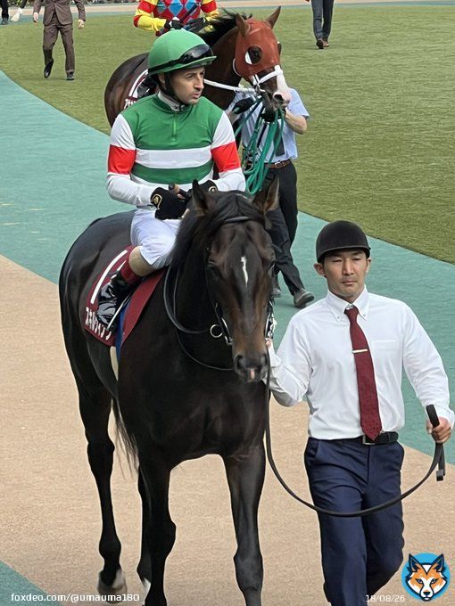 まさかね、一口やっていると楽しい想いも辛い想いもいろいろあるけれど、今日はさすがに辛かった&hellip; #スキルヴィング　に最高の舞台に連れて行ってもらって、感謝しています。 これまでの、感動の走りは忘れないよ。 夢をありがとう ゆっくり休んでくださいね。 そして、また会おう。