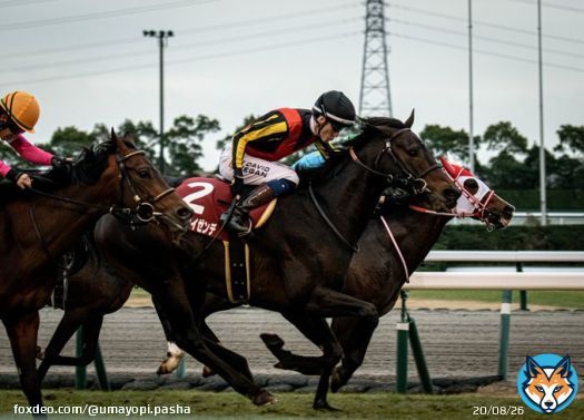 #ヴェルトライゼンデ  #日経新春杯