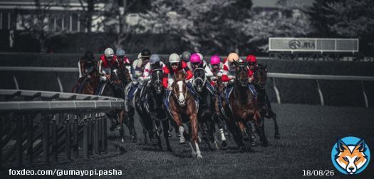 #ジャックドール　#大阪杯