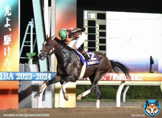 【ジャパンダートダービー2023】 炎熱の夜に燃え上がる三冠の炎 ミックファイア 無敗の南関東三冠達成ッ 強い。強過ぎる。 この馬はどこまで強いのか&hellip;  ミトノオー武豊の逃げは 完の璧なはずだった。 あの逃げは普通捕らえられない&hellip; よく届いた&hellip; もう万感の想いです
