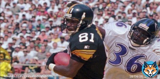 Former NFL receiver Charles E. Johnson had a toxic amount of drugs in his system when he died in July 2022, according to new report by a medical examiner, who ruled his death a suicide.