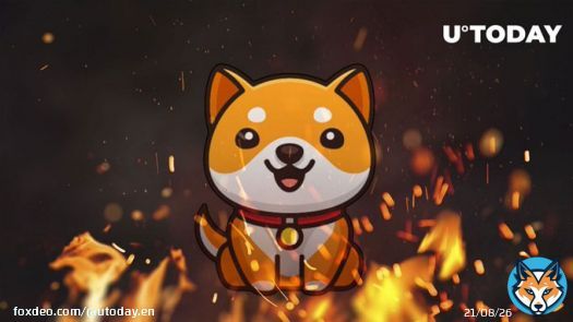 One quadrillion Baby Doge Coin (BabyDoge) burned in single massive transaction #BabyDoge #BabyDogeArmy @BabyDogeCoin #BabyDogeCoin