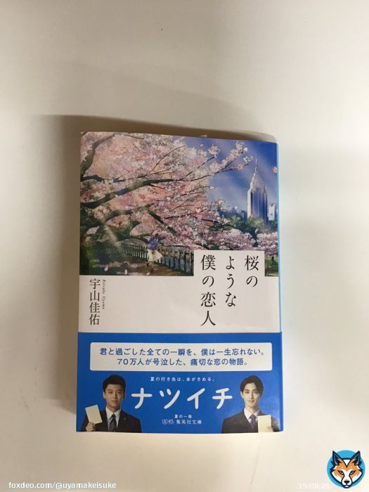 先日は『今夜、ロマンス劇場で』をご覧くださりありがとうございます。今年もナツイチに『桜のような僕の恋人』が加わりました \ud83c\udf38 遊ING浜町店様ありがとうございます。次回作の舞台は長崎の予定ですので今後とも宜しくお願いします。 #中島健人 さん #松本穂香 さん #集英社文庫 #ナツイチ #K_T_T #KTT