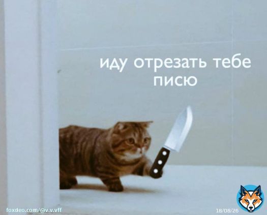 Совсем вы забыли, сегодня же кошачий праздник В первый день первого весеннего месяца по стихийно сложившейся традиции в России отмечается День кошек. А вы не прислали ништяков.